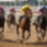 Thoroughbred horse racing action